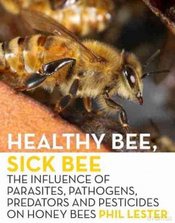 Healthy Bee, Sick Bee: The Influence of Parasites, Pathogens, Predators and Pesticides on Honey Bees - Phil Lester [KSIĄŻKA]