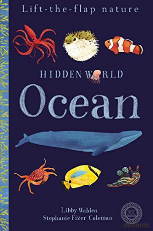 Hidden World: Ocean (Lift the Flap Nature) - Libby Walden [KSIĄŻKA]
