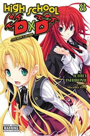High School DxD, Vol. 8 (light novel): A Demon's Work (High School DXD (Light Novel)) - Ichiei Ishibumi [KSIĄŻKA]