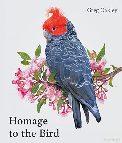 Homage to the Bird - Greg Oakley [KSIĄŻKA]