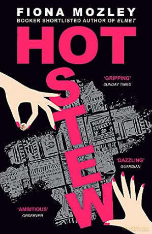 Hot Stew: the new novel from the Booker-shortlisted author of Elmet - Fiona Mozley [KSIĄŻKA]