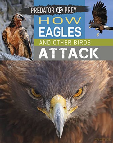 How Eagles and other Birds Attack - Tim Harris [KSIĄŻKA]