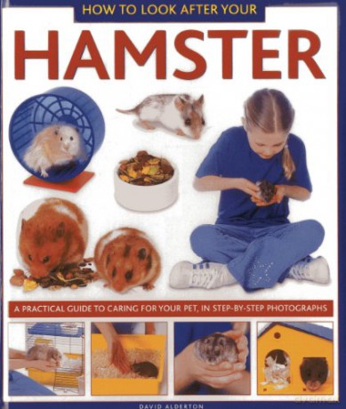 How to Look After Your Hamster: A Practical Guide to Caring for Your Pet, in Step-by-step Photographs (How to Look After Your Pet) - David Alderton [KSIĄŻKA]