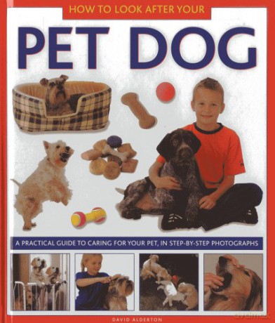 How to Look After Your Pet Dog: A Practical Guide to Caring for Your Pet. in Step-by-step Photographs - David Alderton [KSIĄŻKA]