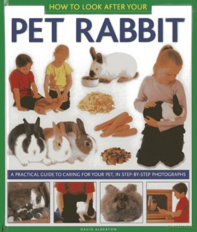 How to Look After Your Pet Rabbit: A Practical Guide to Caring for Your Pet, in Step-by-step Photographs - David Alderton [KSIĄŻKA]