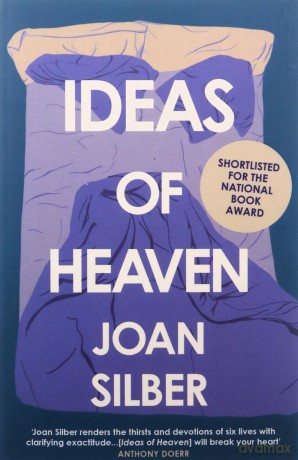Ideas of Heaven - Joan Silber [KSIĄŻKA]