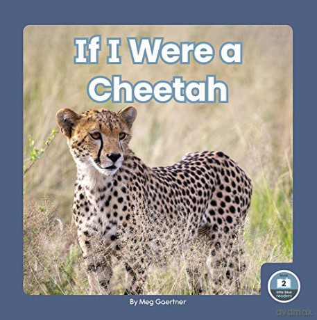 If I Were a Cheetah (9781646193196) - Meg Gaertner [KSIĄŻKA]