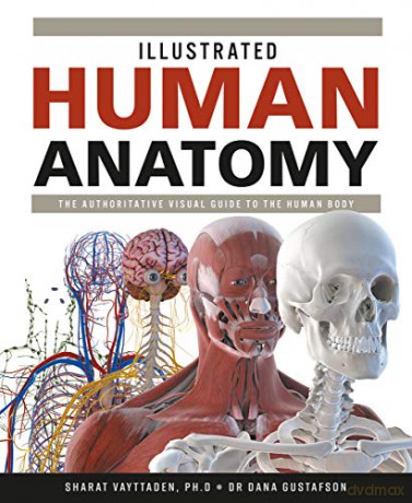 Illustrated Human Anatomy: The Authoritative Visual Guide to the Human Body - Dana Gustafson [KSIĄŻKA]