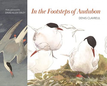 In the Footsteps of Audubon - Denis Clavreul [KSIĄŻKA]
