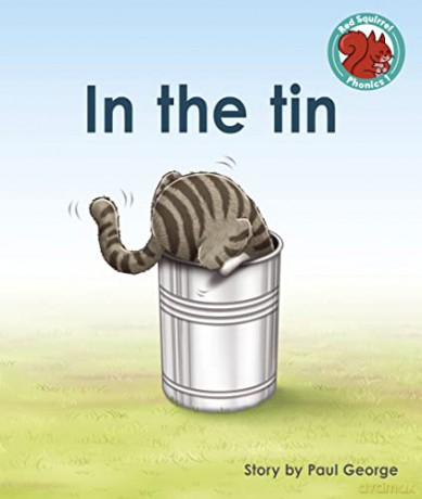 In the tin (Red Squirrel Phonics Level 1 Set 2) - Paul George [KSIĄŻKA]