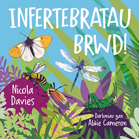 Infertebratau brwd! - Nicola Davies, [KSIĄŻKA]