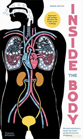 Inside the Body: An extraordinary layer-by-layer guide to human anatomy - Joëlle Jolivet [KSIĄŻKA]