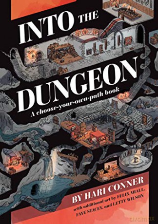 Into the Dungeon: A Choose-Your-Own-Path Book - Hari Conner [KSIĄŻKA]