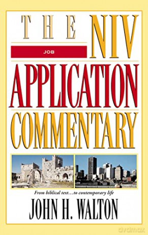Job (The NIV Application Commentary) - John H. Walton [KSIĄŻKA]