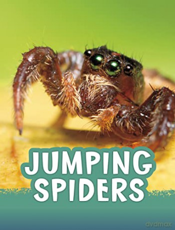 Jumping Spiders (Animals) - Jaclyn Jaycox [KSIĄŻKA]