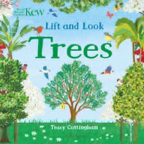 Kew: Lift and Look Trees - Tracy Cottingham [KSIĄŻKA]