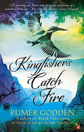 Kingfishers Catch Fire: A Virago Modern Classic (Virago Modern Classics) - Rumer Godden [KSIĄŻKA]