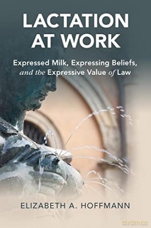 Lactation at Work: Expressed Milk, Expressing Beliefs, and the Expressive Value of Law (Cambridge Studies in Law and Society) - Elizabeth A. Hoffmann [KSIĄŻKA]