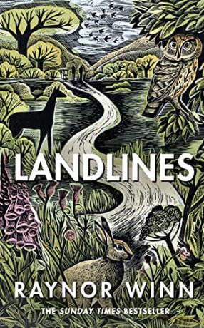 Landlines: The remarkable story of a thousand-mile journey across Britain from the million-copy bestselling author of The Salt Path - Raynor Winn [KSIĄŻKA]