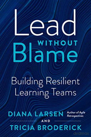 Lead without Blame: Building Resilient Learning Teams - Diane Larsen [KSIĄŻKA]