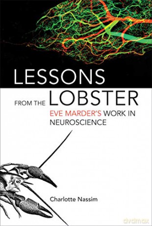 Lessons from the Lobster: Eve Marder's Work in Neuroscience (The MIT Press) - Charlotte Nassim [KSIĄŻKA]