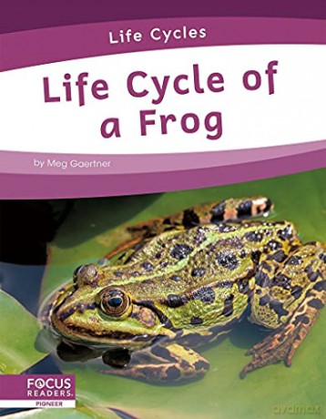 Life Cycle of a Frog (Life Cycles) - Meg Gaertner [KSIĄŻKA]
