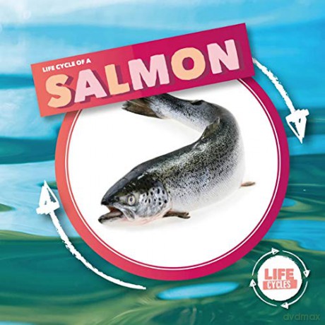 Life Cycle Of A Salmon (Life Cycles) - Kirsty Holmes [KSIĄŻKA]
