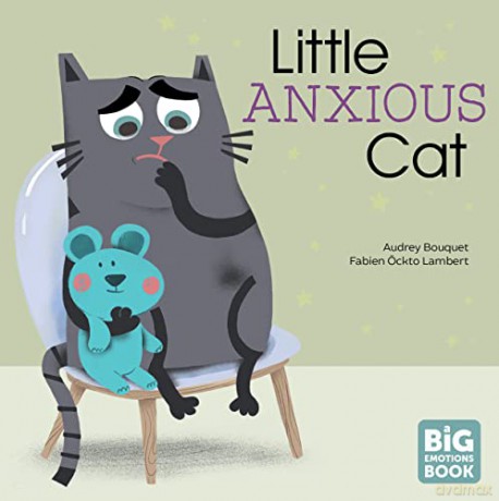 Little Anxious Cat (Big Emotions Book) - Audrey Bouquet [KSIĄŻKA]