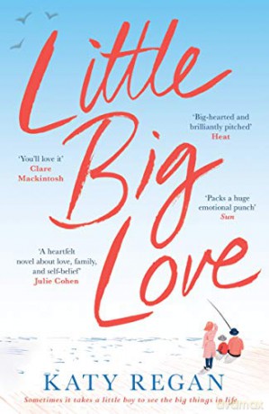 Little Big Love - Katy Regan [KSIĄŻKA]