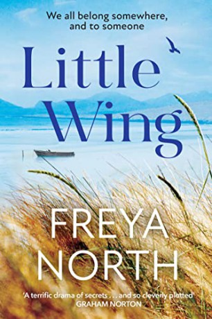 Little Wing: An emotional and heartwarming story, perfect for autumn 2022 - Freya North [KSIĄŻKA]