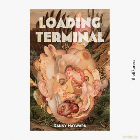 Loading Terminal - Danny Hayward [KSIĄŻKA]