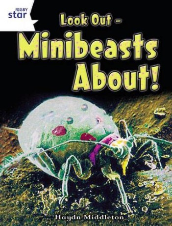 Look Out - Minibeasts About! [KSIĄŻKA]