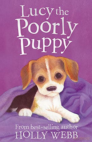 Lucy the Poorly Puppy: 16 (Holly Webb Animal Stories, 16) - Holly Webb [KSIĄŻKA]