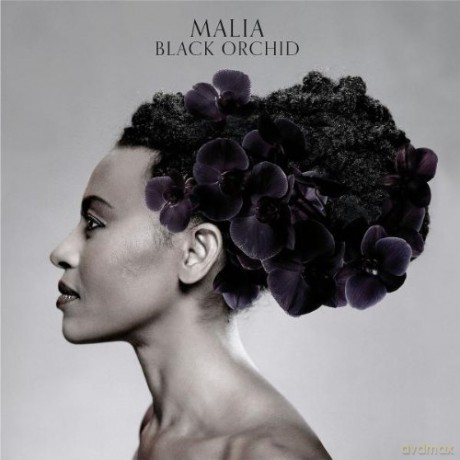 Malia: Black Orchid [CD]