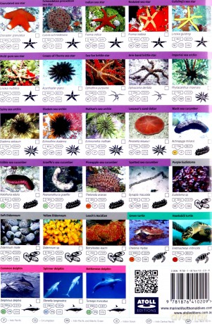 Maldives Marine Life Field Guide: Top 200+ - Tim Godfrey [KSIĄŻKA]