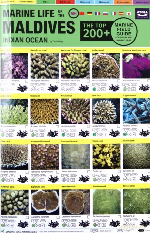 Maldives Marine Life Field Guide: Top 200+ - Tim Godfrey [KSIĄŻKA]