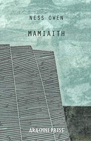 Mamiaith - Ness Owen [KSIĄŻKA]