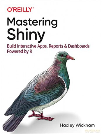 Mastering Shiny: Build Interactive Apps, Reports, and Dashboards Powered by R - Hadley Wickham [KSIĄŻKA]