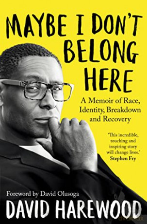 Maybe I Don't Belong Here: A Memoir of Race, Identity, Breakdown and Recovery - David Harewood [KSIĄŻKA]