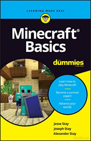 Minecraft Basics For Dummies - Jesse Stay [KSIĄŻKA]