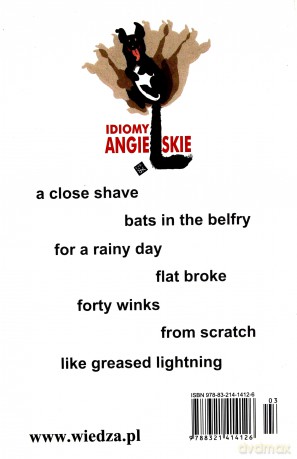 Idiomy Angielskie. Słownik [KSIĄŻKA]