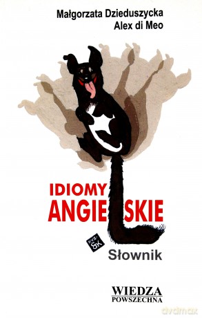 Idiomy Angielskie. Słownik [KSIĄŻKA]
