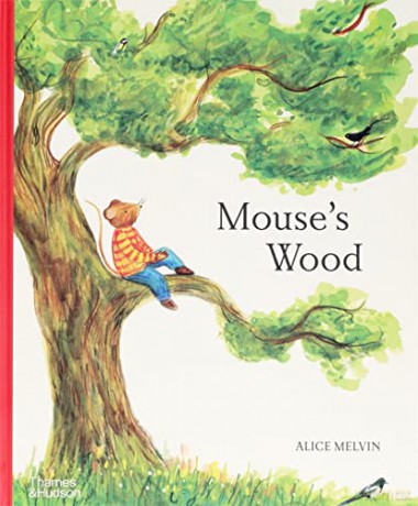 Mouse's Wood: A Year in Nature - Alice Melvin [KSIĄŻKA]