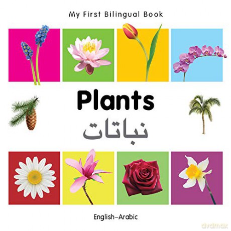 My First Bilingual Book - Plants - English-Arabic - Milet [KSIĄŻKA]