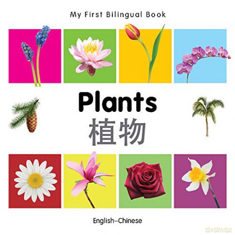 My First Bilingual Book - Plants (English-Chinese) - Milet [KSIĄŻKA]