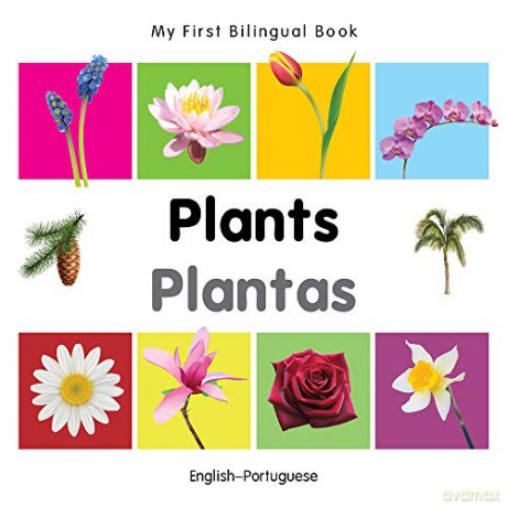 My First Bilingual Book - Plants (English-Portuguese) - Milet [KSIĄŻKA]