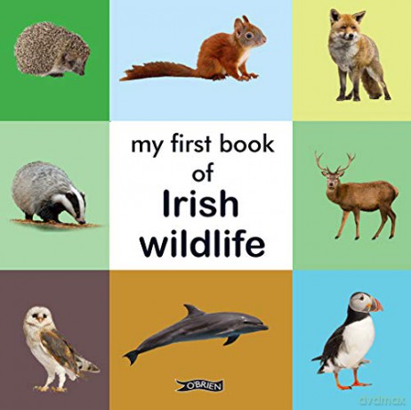 My First Book of Irish Wildlife - The O'Brien Press [KSIĄŻKA]