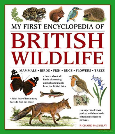 My First Encyclopedia of British Wildlife: Mammals, Birds, Fish, Bugs, Flowers, Trees - Richard McGinlay [KSIĄŻKA]