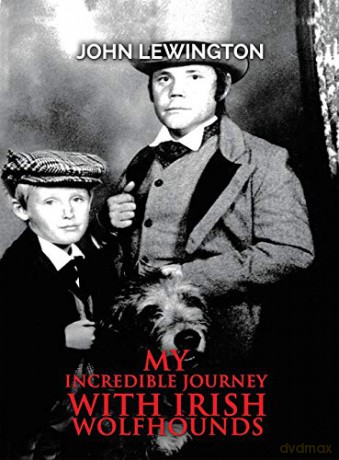 My Incredible Journey with Irish Wolfhounds - John Lewington [KSIĄŻKA]