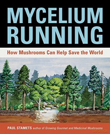 Mycelium Running: How Mushrooms Can Help Save the World - Paul Stamets [KSIĄŻKA]